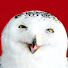 2kLETDT_W20-channel-avatar-Are You Serious??!!