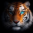 qF-zTTPhcUo-channel-avatar-Secrets of the Wild 