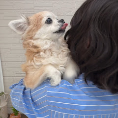 ROBAの休日 シニアの副業、趣味と実益アイコン画像