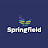 Springfield Supplies and Projects Ltd