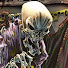 TsFA9PU49ZU-channel-avatar-Subconscious Illusion