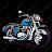 UAE_biker