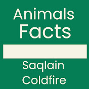 Animals Facts By Saqlain Coldfire