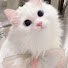 BC5leS9TQoY-channel-avatar-私の人生の物語