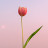 @자성화-d7d
