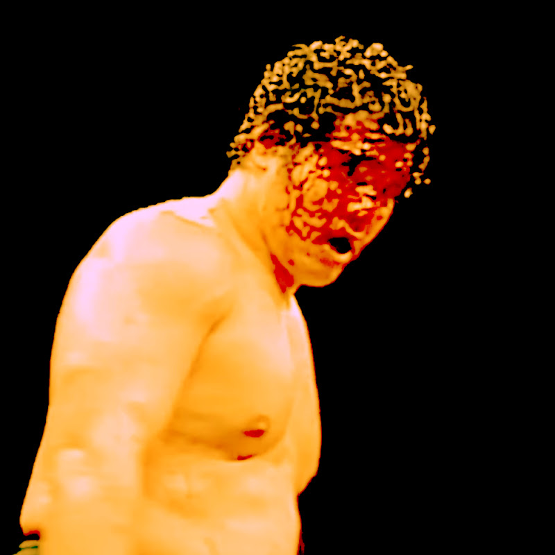 Puroresu in 5 MINUTES