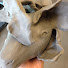 _2lxwHhpcjA-channel-avatar-Ceramics & Sculpture at Flintridge Sacred Heart