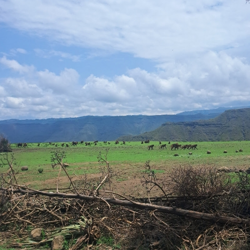 TOSSA TUBE ጦሳ ዩቲዩብ Logo