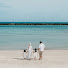 hvgEbmU_g1Q-channel-avatar-To The Brish