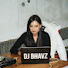 3RZ6QuIv78Y-channel-avatar-DJ Bhavz