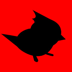 Titmouse