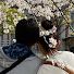 lsT1IWNxqxk-channel-avatar-Chiu Life -なかよし夫婦のVlog-