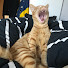 Channel Image