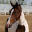 @stacey_h Avatar