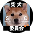 EEuABvWvAMw-channel-avatar-豆柴アオと柴犬委員会