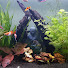 Qvk1qXoI9JY-channel-avatar-Fond of a pond