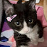 4dkUdy822l0-channel-avatar-슌이