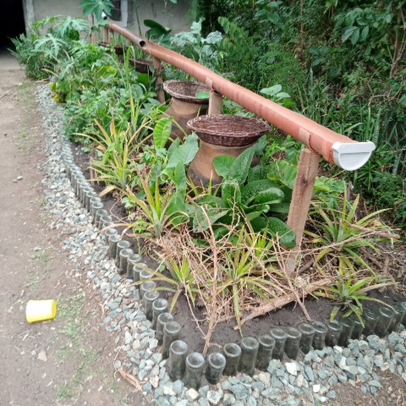 Indigenous Ecosystems Restoration Project 