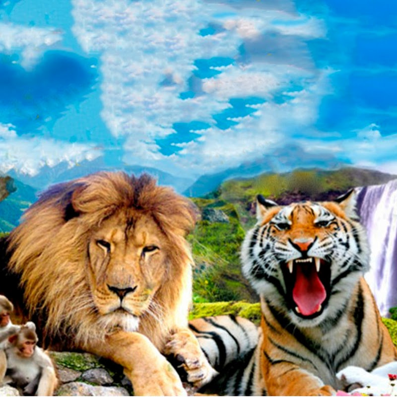 ЗооПарк «СКАЗКА». В мире животных с Богданом. Logo