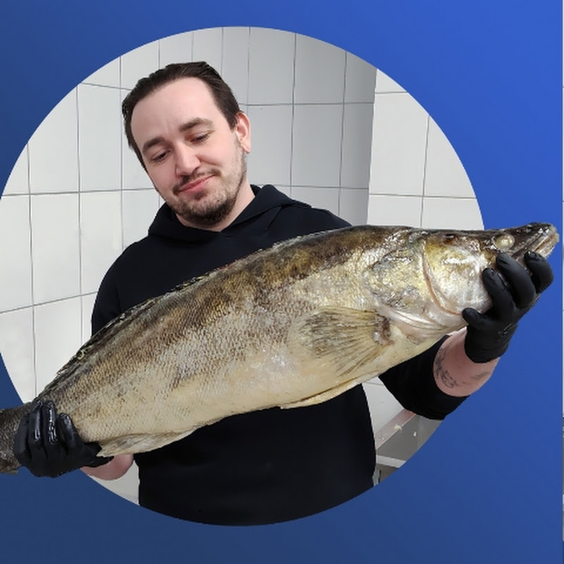 Никита и Рыба Logo