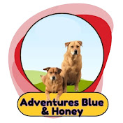 Adventures With Mr. Blue & Honey