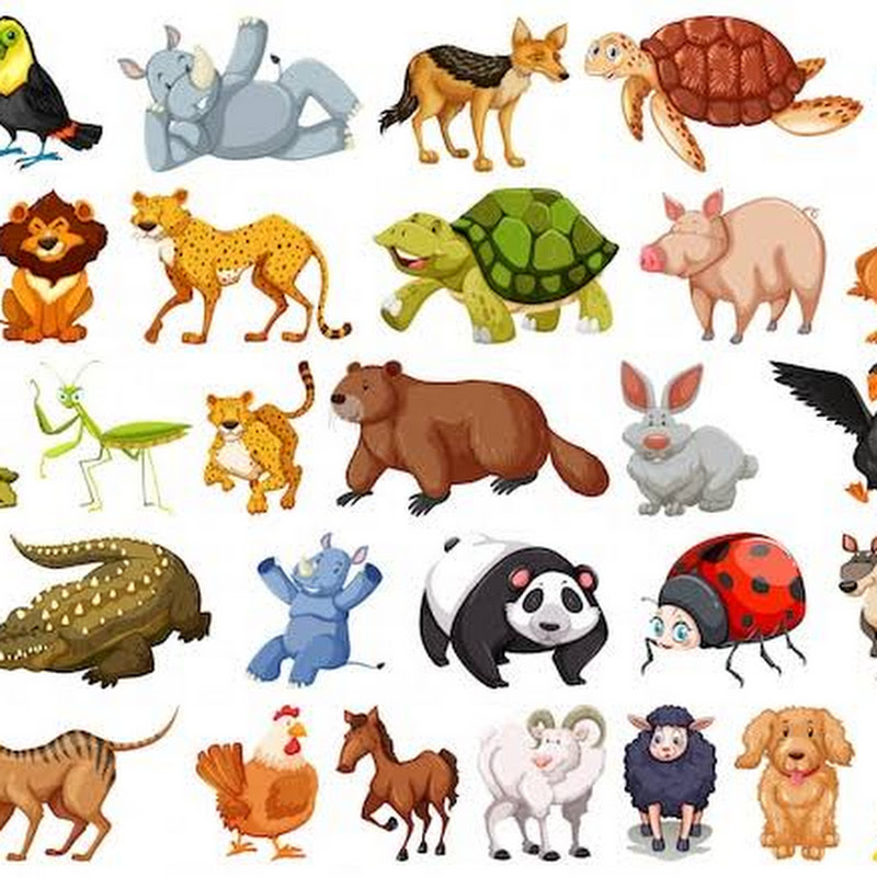 Animal Em Geral icon