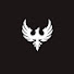 FP9P4ry36QA-channel-avatar-Fok