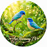 Okuccr0m3wk-channel-avatar-AviHarmony TV and CuddlePaws TV