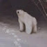 df9cipUPahk-channel-avatar-CreepyBear06