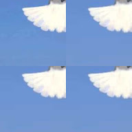 thumbnail img1x1