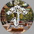 VFEbqRaiECc-channel-avatar-Forest Lounge Jazz