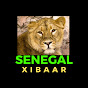  XIBAAR Senegal