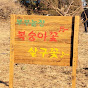 복숭아꽃 살구꽃