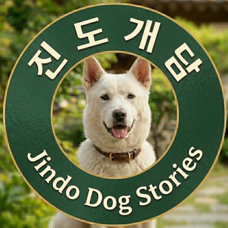 진도개담