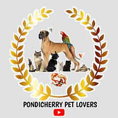 Pondicherry Pet Lovers