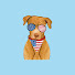 Oh2aa6pAr5U-channel-avatar-Dumb Dog Energy