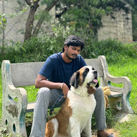 VLE Entertainment profile image