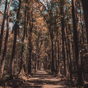 Explore Mindanao