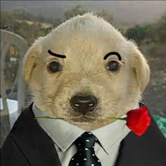 〘𝐻𝐴𝑌𝑅𝑂𝑁89 𝐺𝐴𝑀𝐸𝑃𝐿𝐴𝑌𝑆 𝑌 𝐸𝐷𝐼𝑇𝑆ツ〙