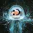 xRlIXEfcaA4-channel-avatar-Turritopsis