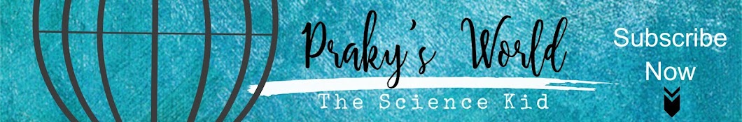 Praky's World YouTube channel avatar
