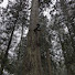 wxuMWYTm2x4-channel-avatar-Japanese scene