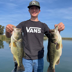 Mendleski Bassin