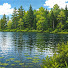 FPfOSnkvSKY-channel-avatar-Wild Lake McRey