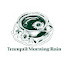 FPuFj0HoiH4-channel-avatar-Tranquil Morning Rain
