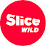 8Y7cUK3c1I0-channel-avatar-SLICE Wild