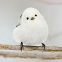 【感動図書館】シマエナガ博士
