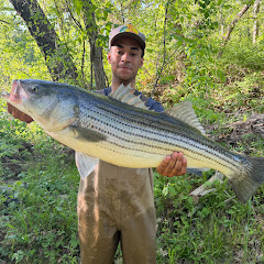 Dink Catcher