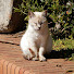 DhAt0buHra0-channel-avatar-Buralist Channel