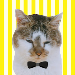 元野良猫のささみとホルン avatar